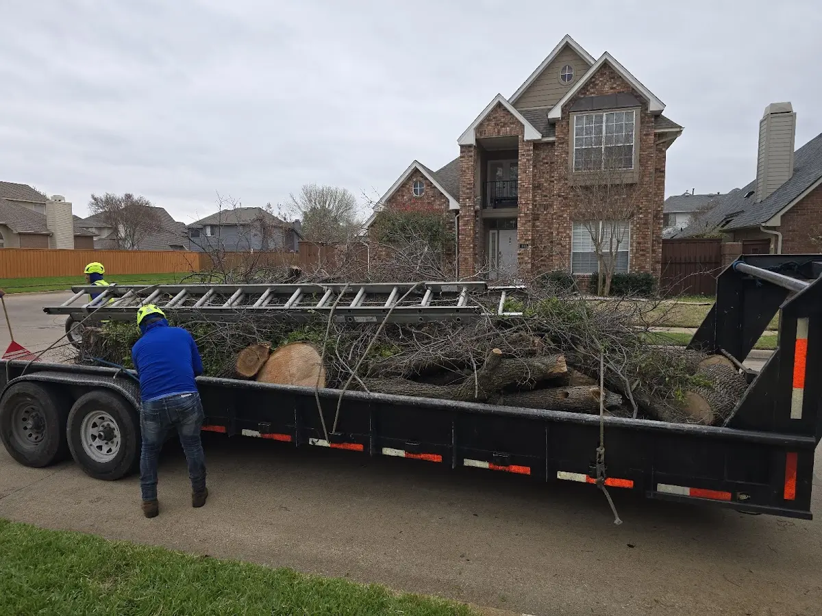 Expert Tree Fertilization with proper safety equipment in Paupack